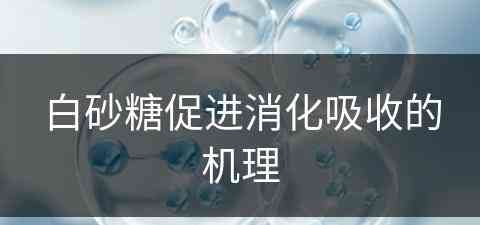 白砂糖促进消化吸收的机理(白砂糖促进消化吸收的机理是什么)